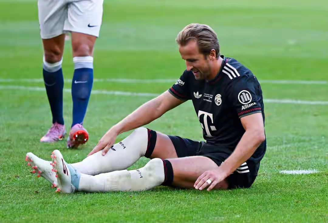 拜仁慕尼黑坐镇主场对手，争取胜利的简单介绍